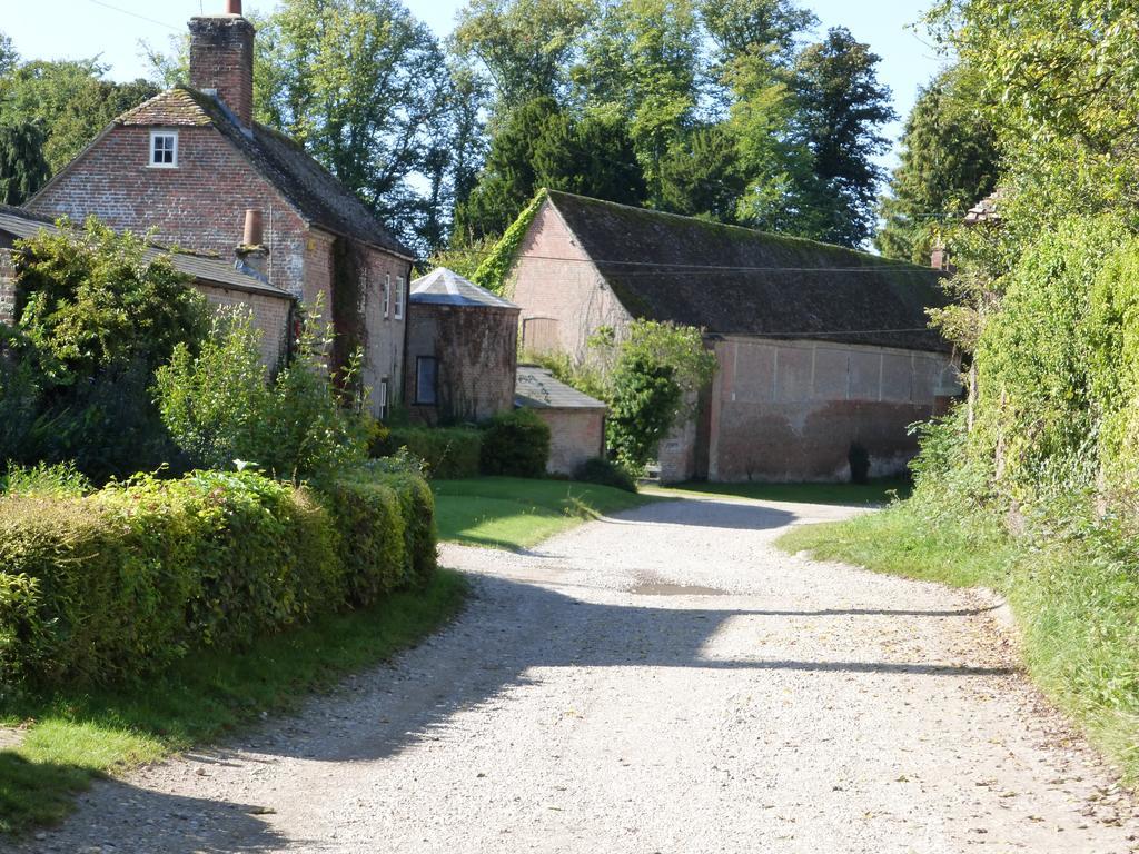 Home Farm House Wimborne Saint Giles Exteriör bild