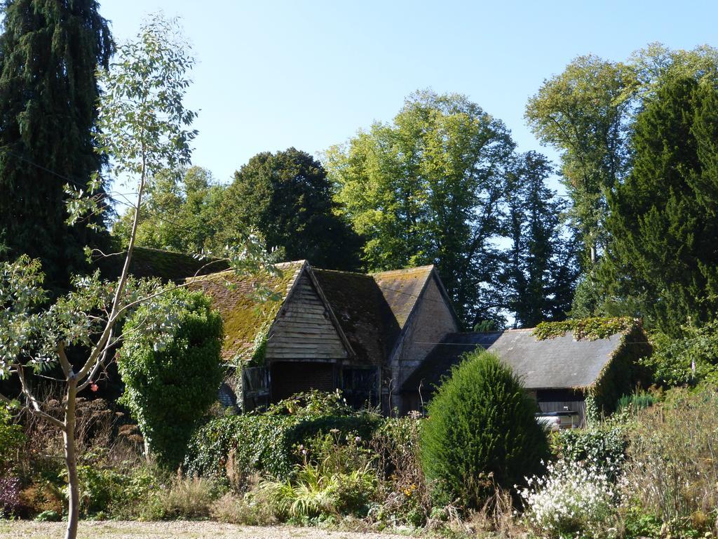 Home Farm House Wimborne Saint Giles Exteriör bild